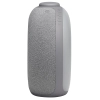 Głośnik Bluetooth JBL Horizon 2 DAB [kolor szary]